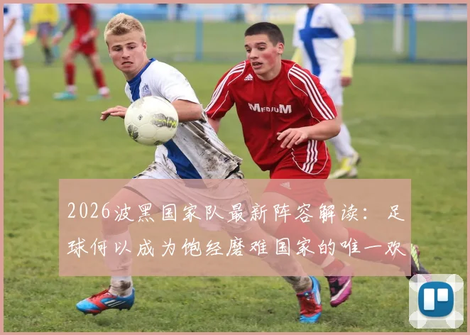 2026波黑国家队最新阵容解读：足球何以成为饱经磨难国家的唯一欢乐与希望之源