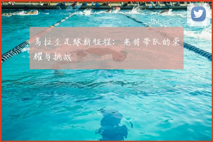 乌拉圭足球新征程：老将带队的荣耀与挑战
